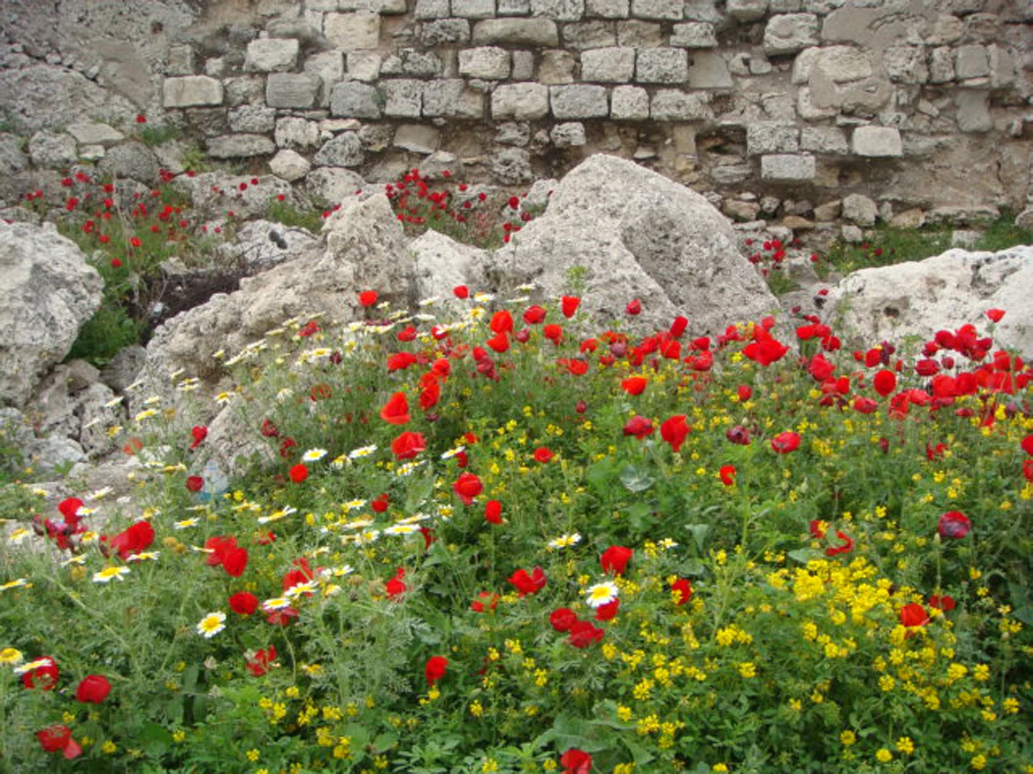 An Afternoon in Rhodes