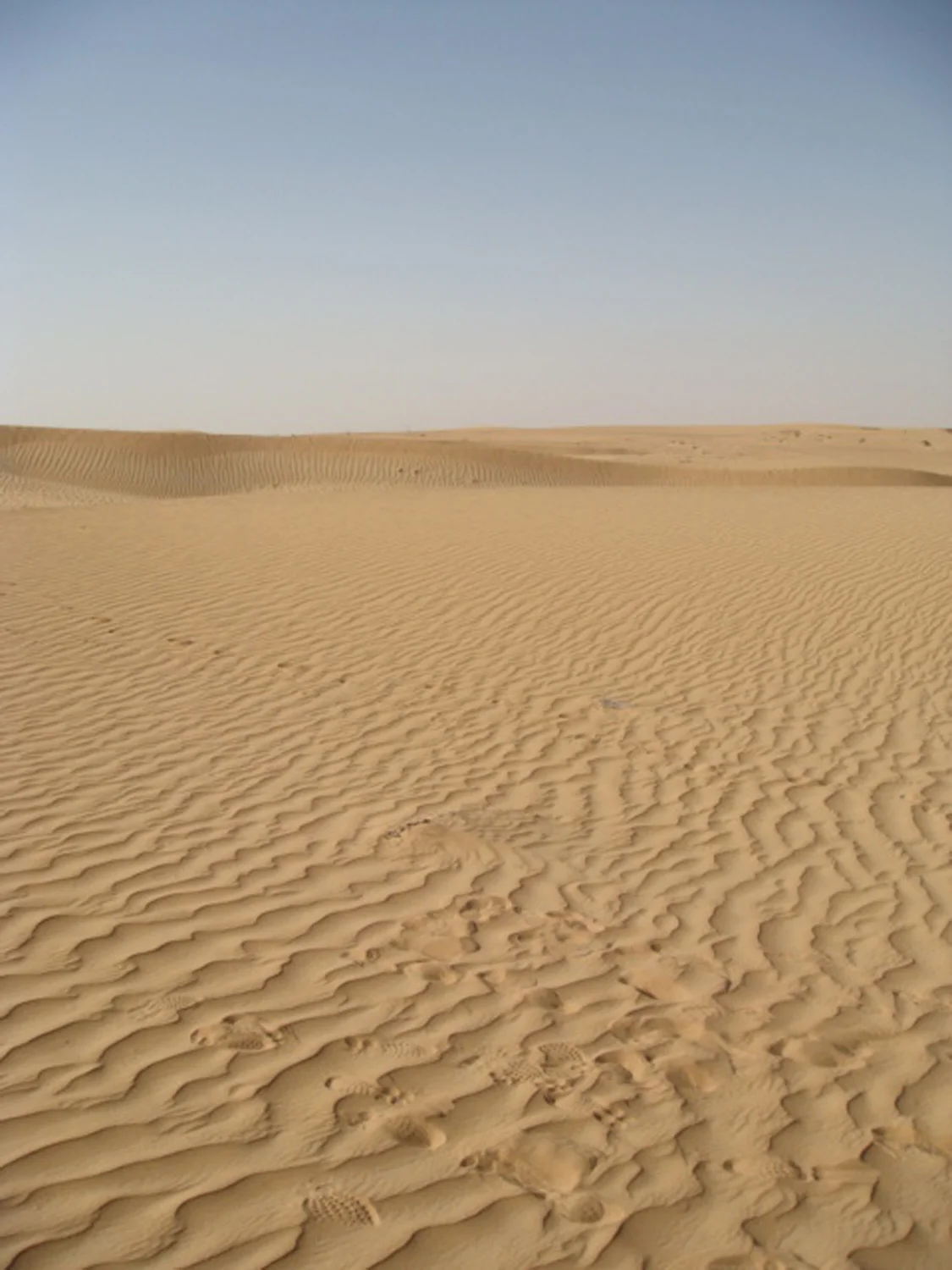 Into the Desert