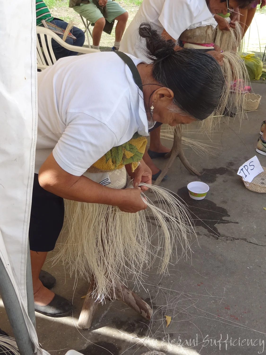 On the Panama Hat Trail