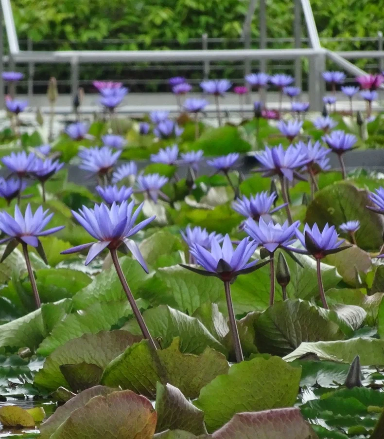 Everything new is old, everything old is new