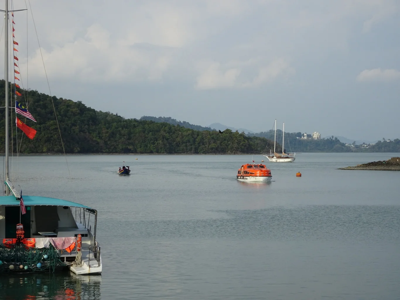DSC05497_edited.jpeg