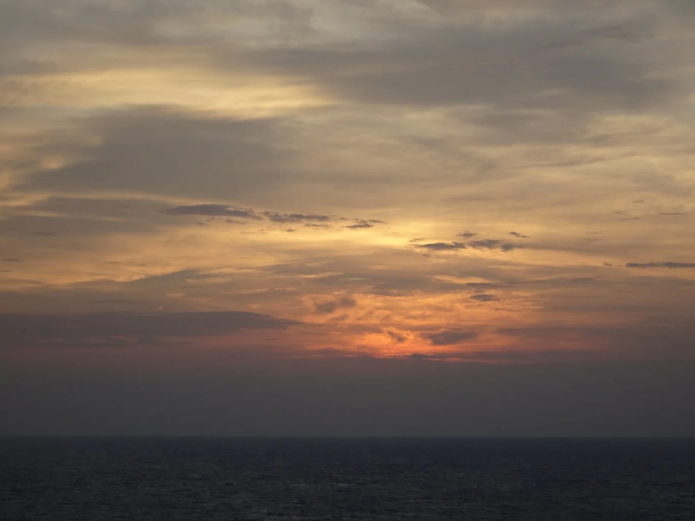 DSC05716_edited.jpeg