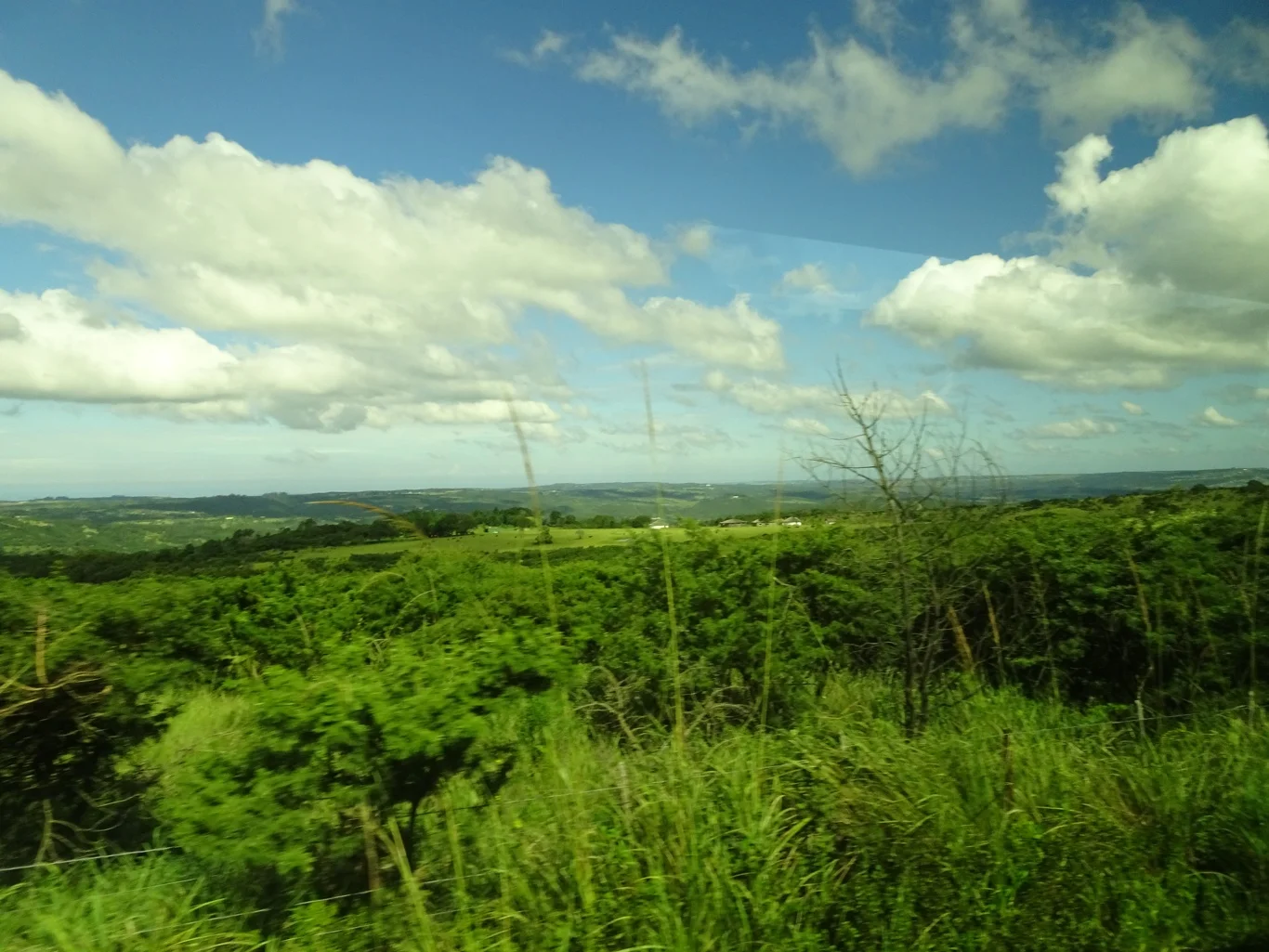DSC07404_edited.jpeg