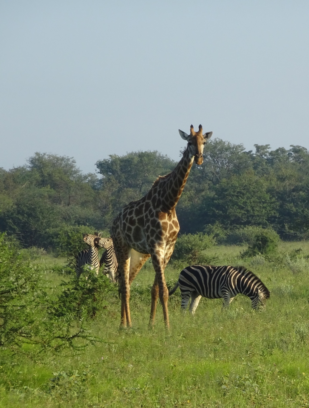 Sunday morning, 5.30am