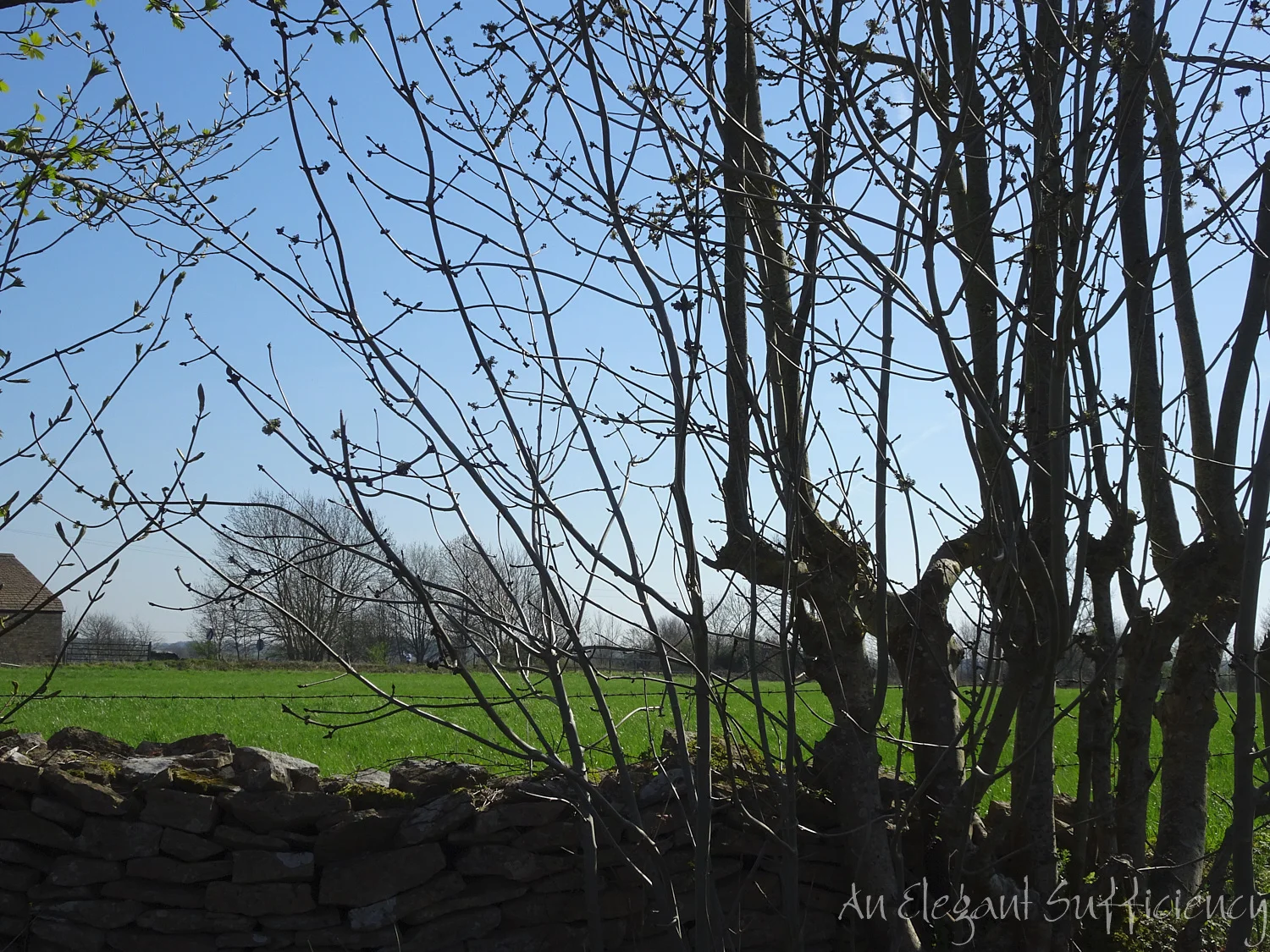 DSC08355.jpg
