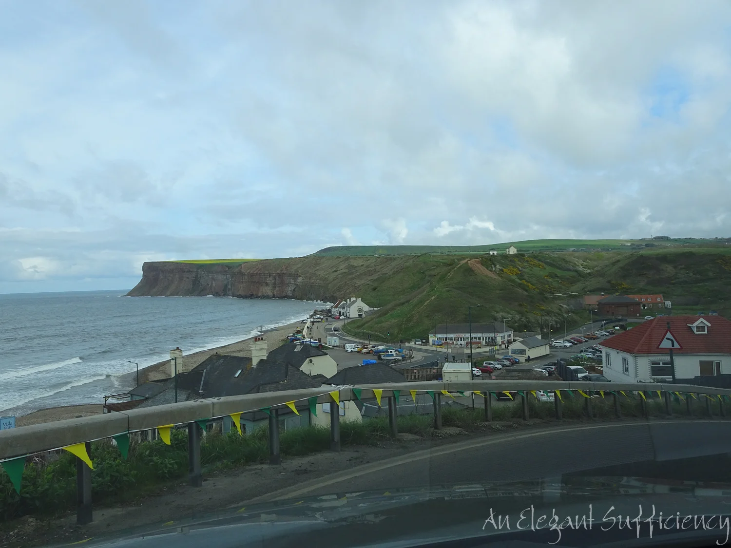 DSC08495.jpg