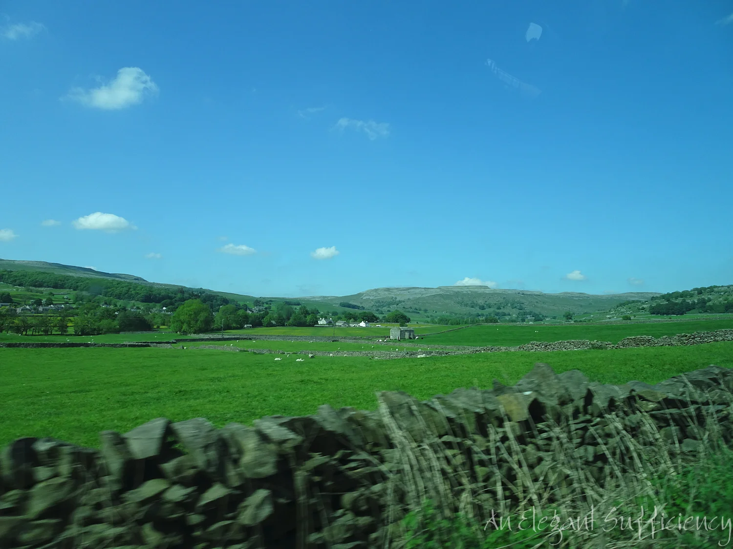 DSC08704.jpg