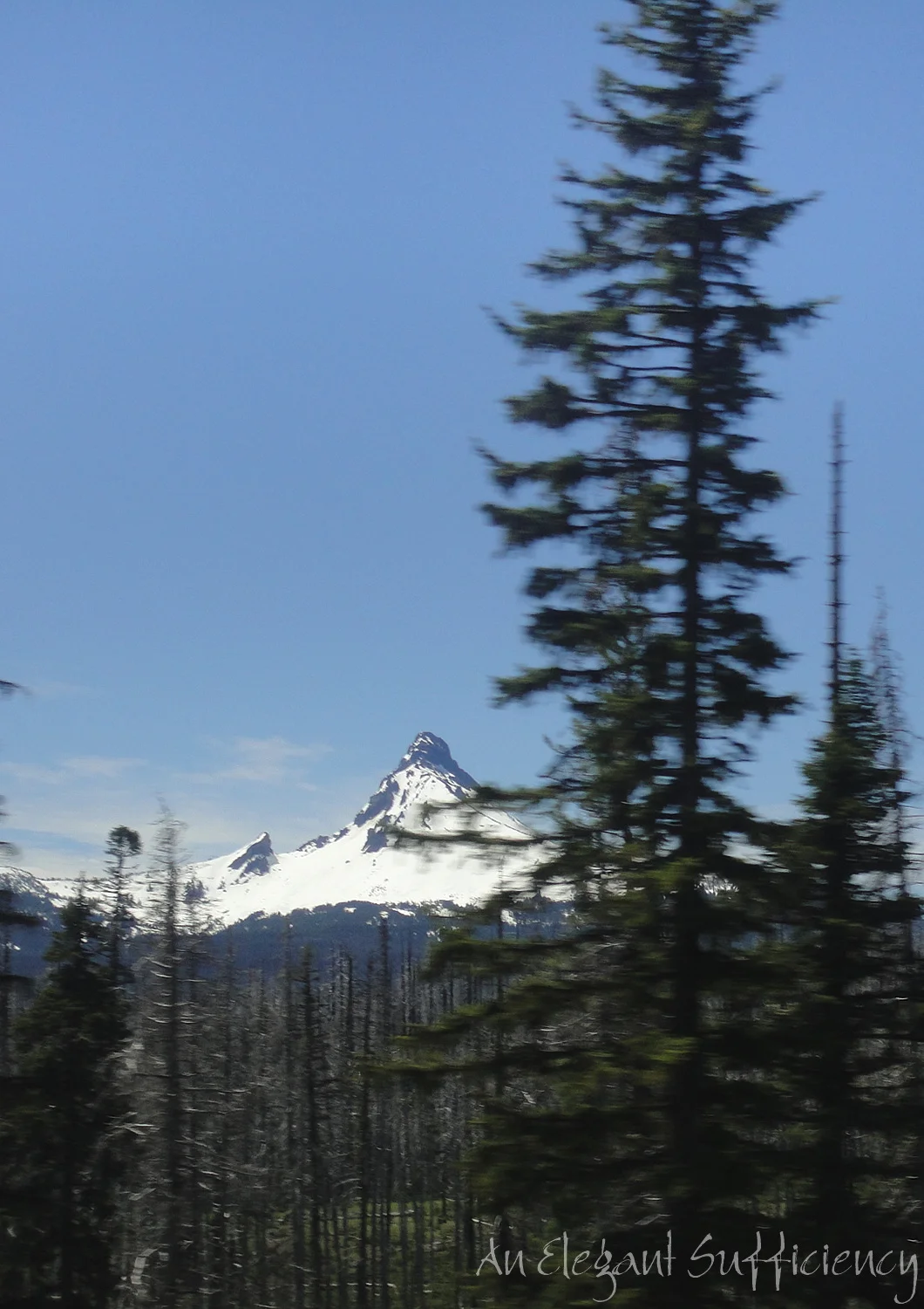 Water, mountains and forests