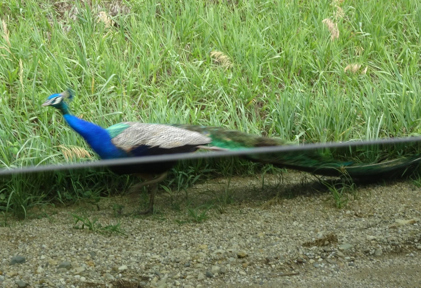 DSC09841_edited.jpeg