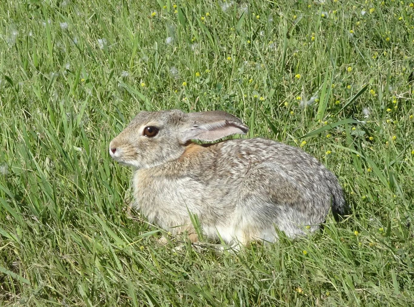 DSC00915_edited.jpeg