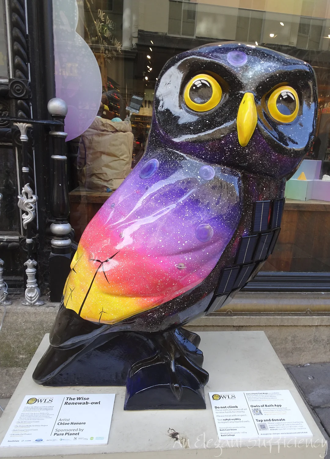 DSC02103.jpg