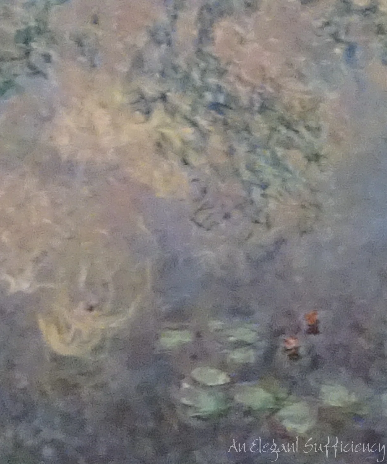 Just me and a few waterlilies