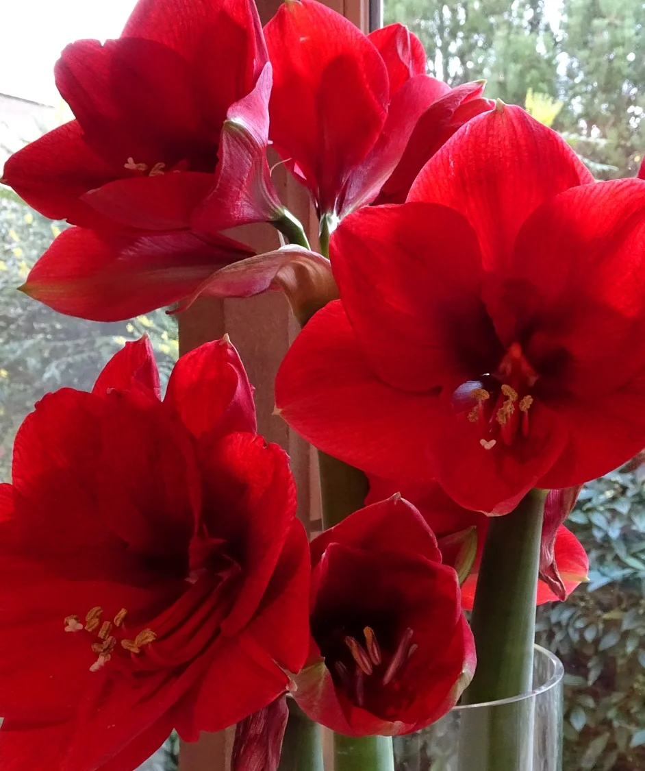 All safely gathered in