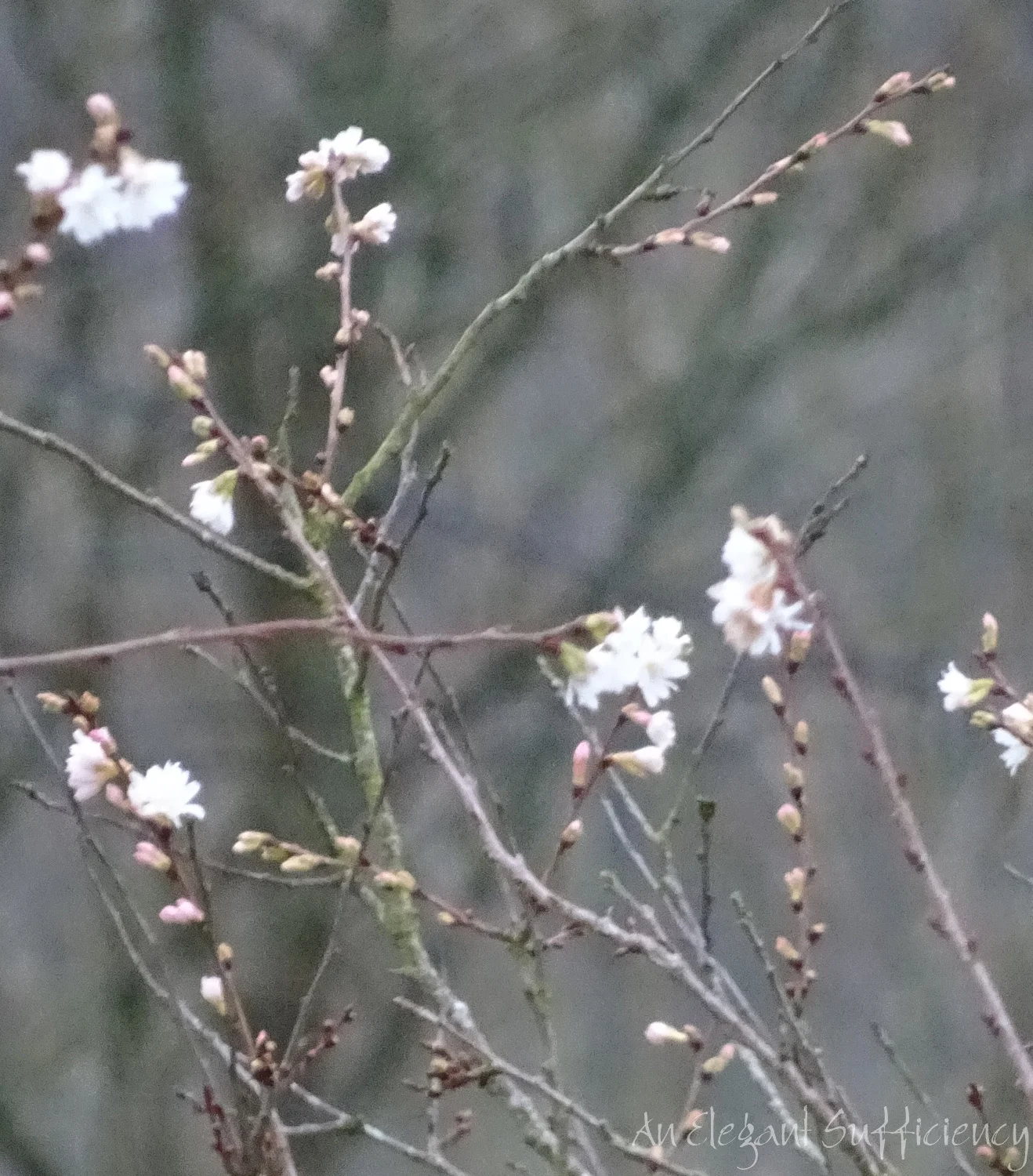 DSC05384.jpg