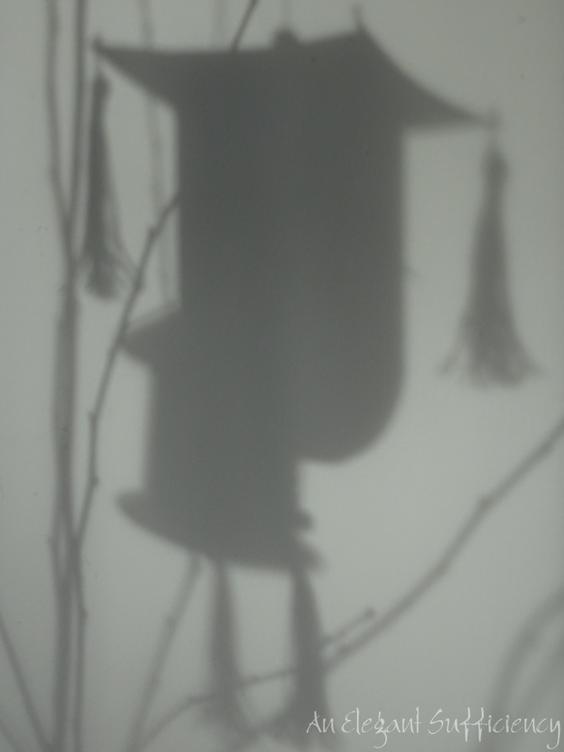 In the shadows