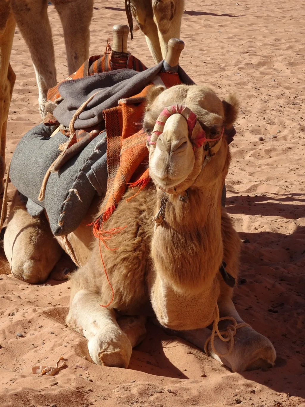 Frost, wind, sand and sunshine