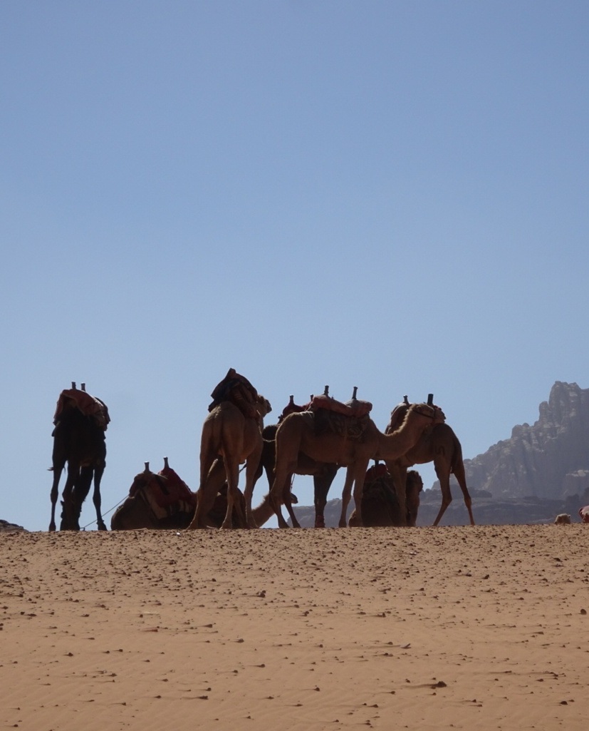 Wadi Rum