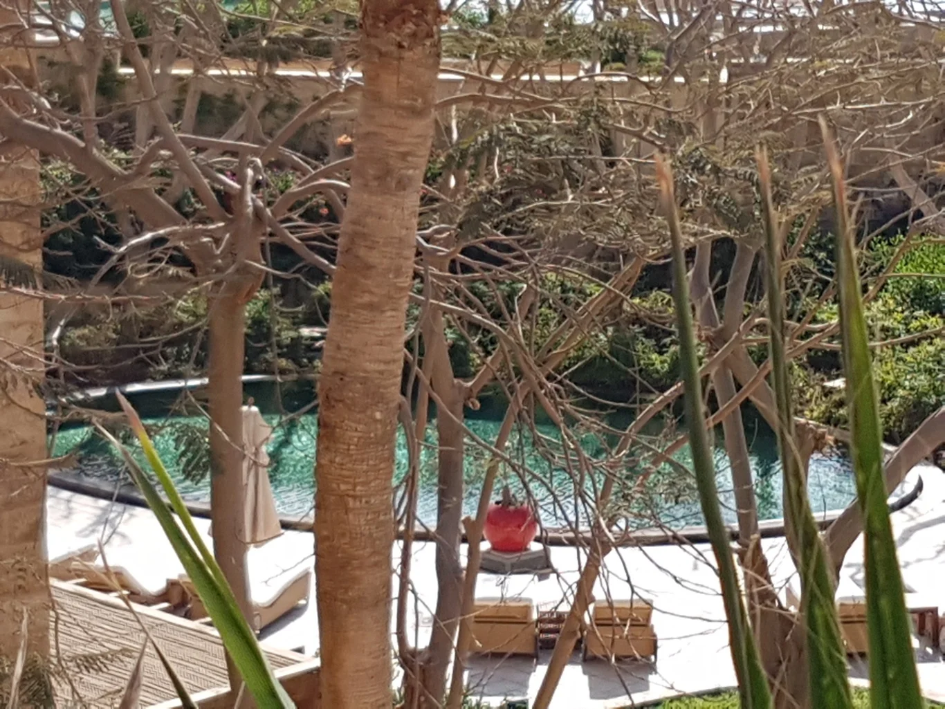 20190119_123508_edited_edited.jpeg