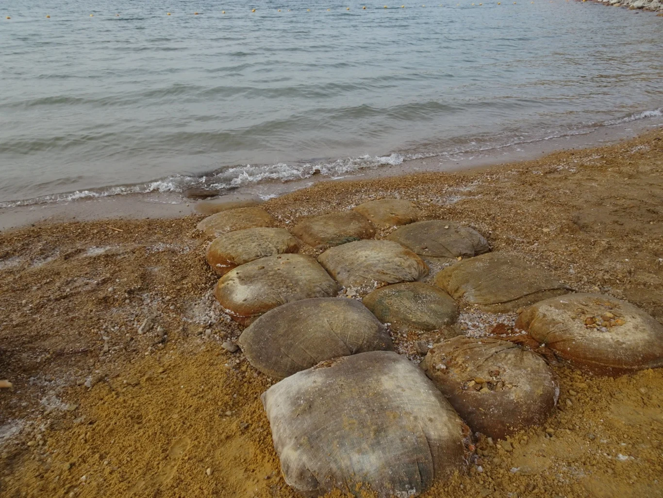 DSC06800_edited.jpeg