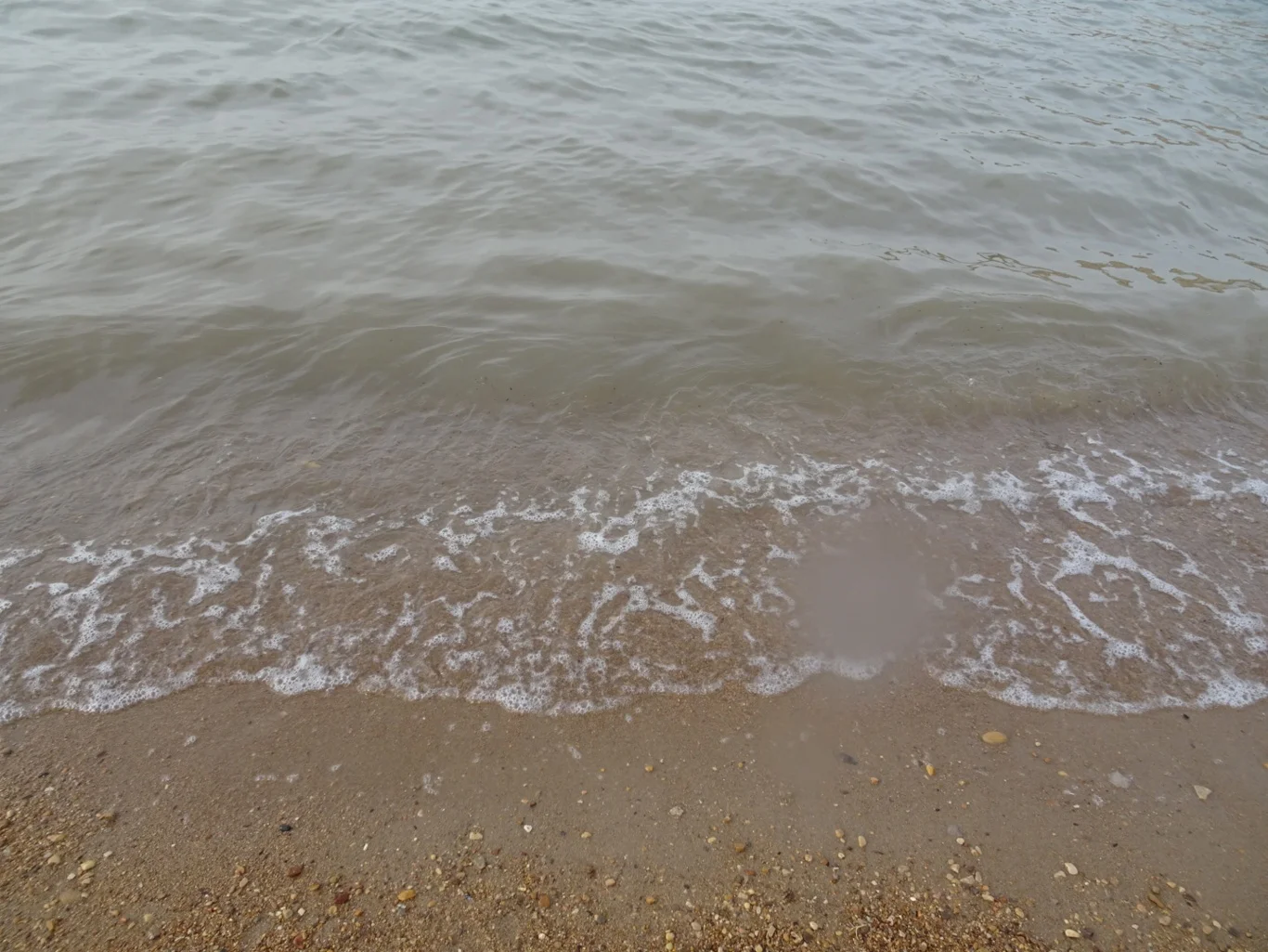 DSC06819_edited.jpeg