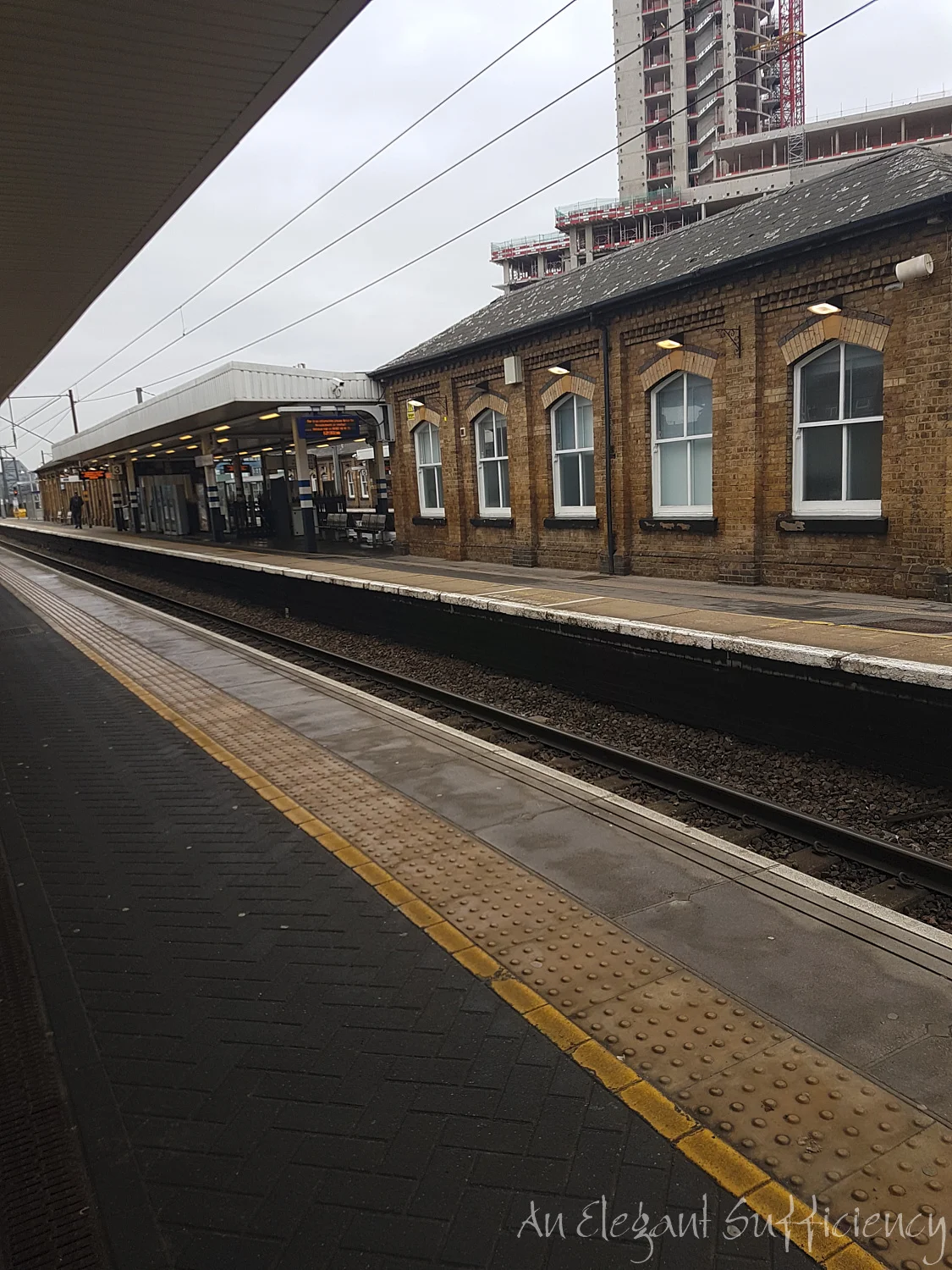 20190216_123328.jpg