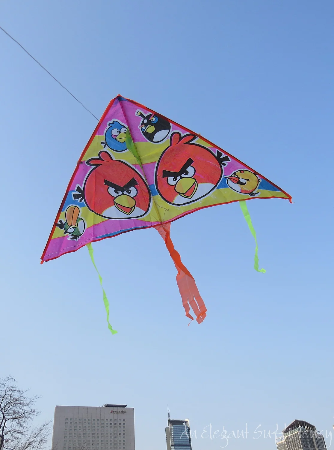 Let’s go fly a kite
