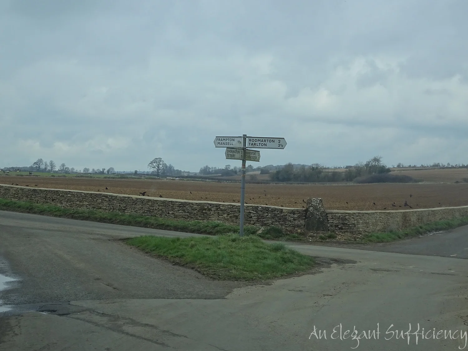 DSC07478.jpg
