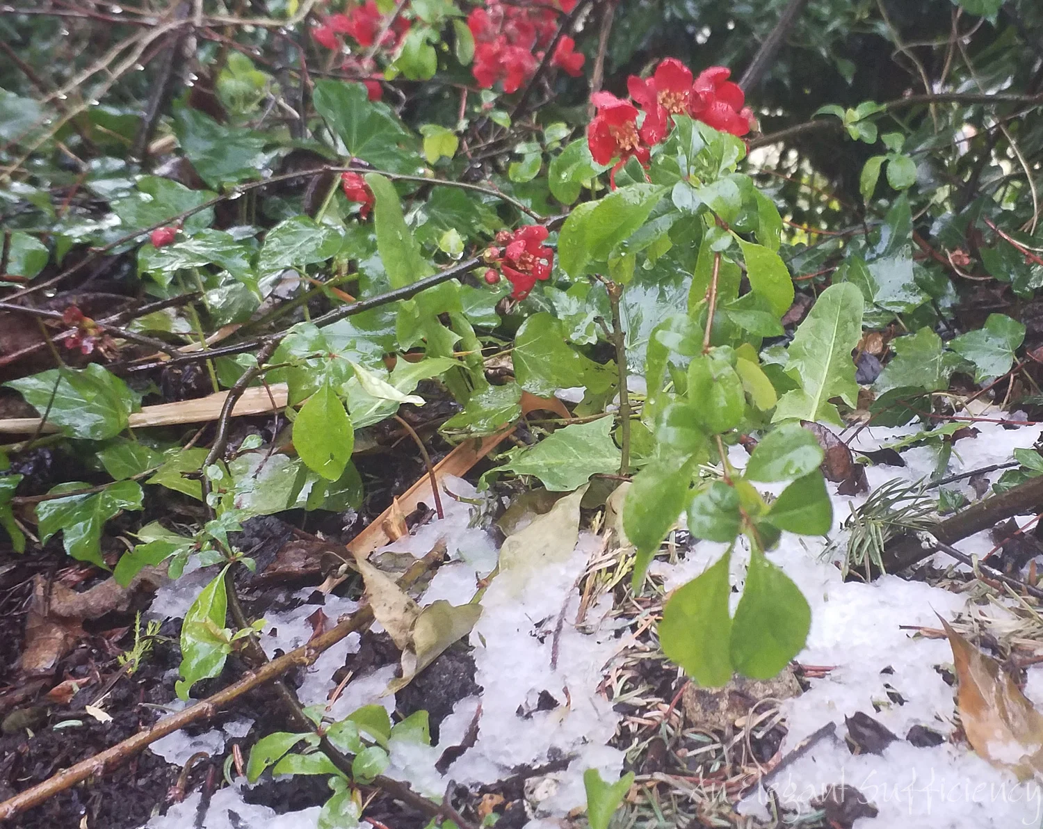 20190402_185412.jpg
