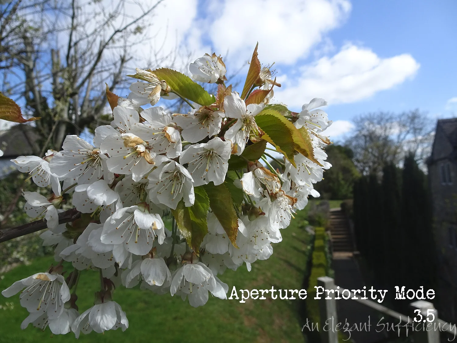 Week #2 Aperture