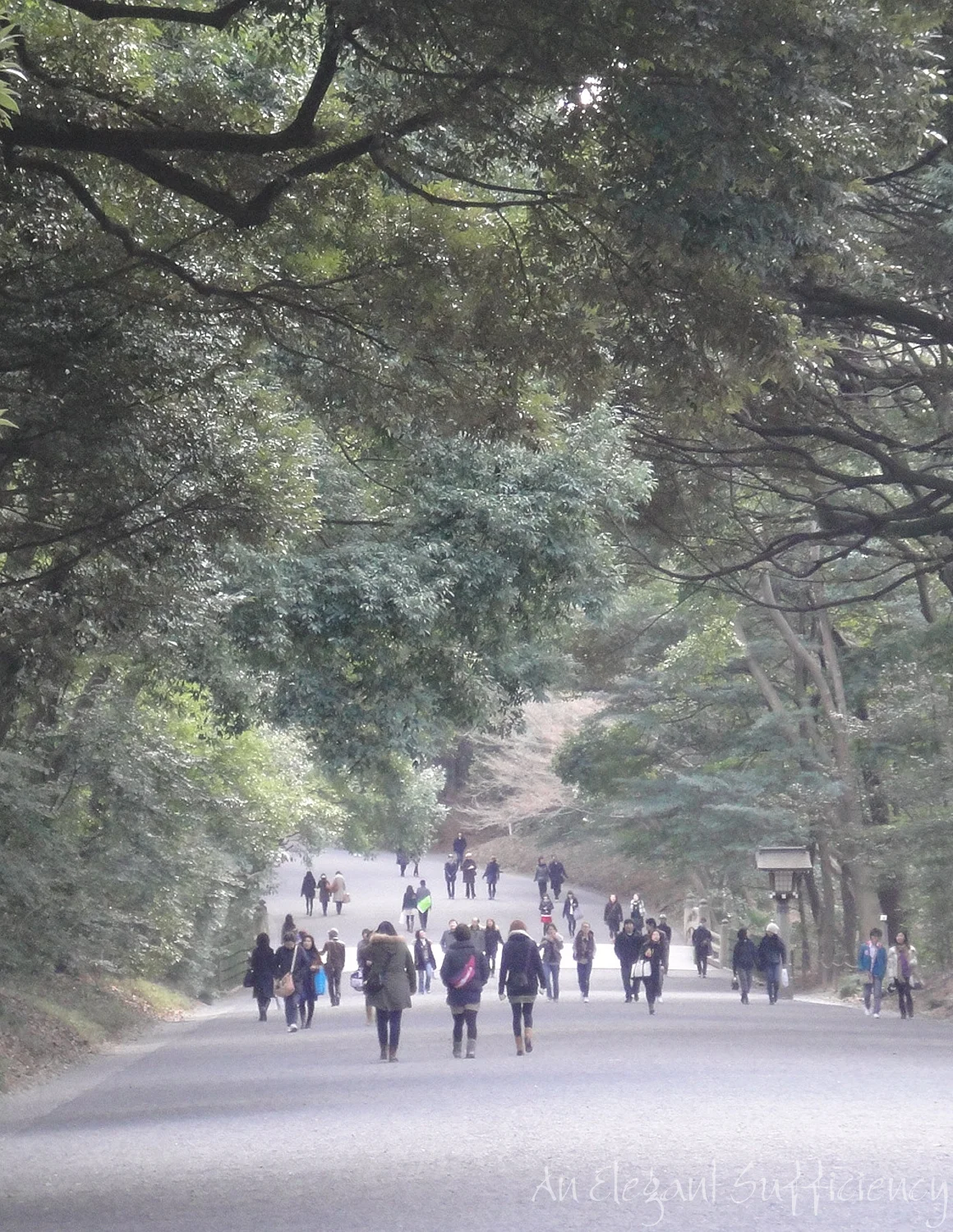 Take a walk with me in Tokyo