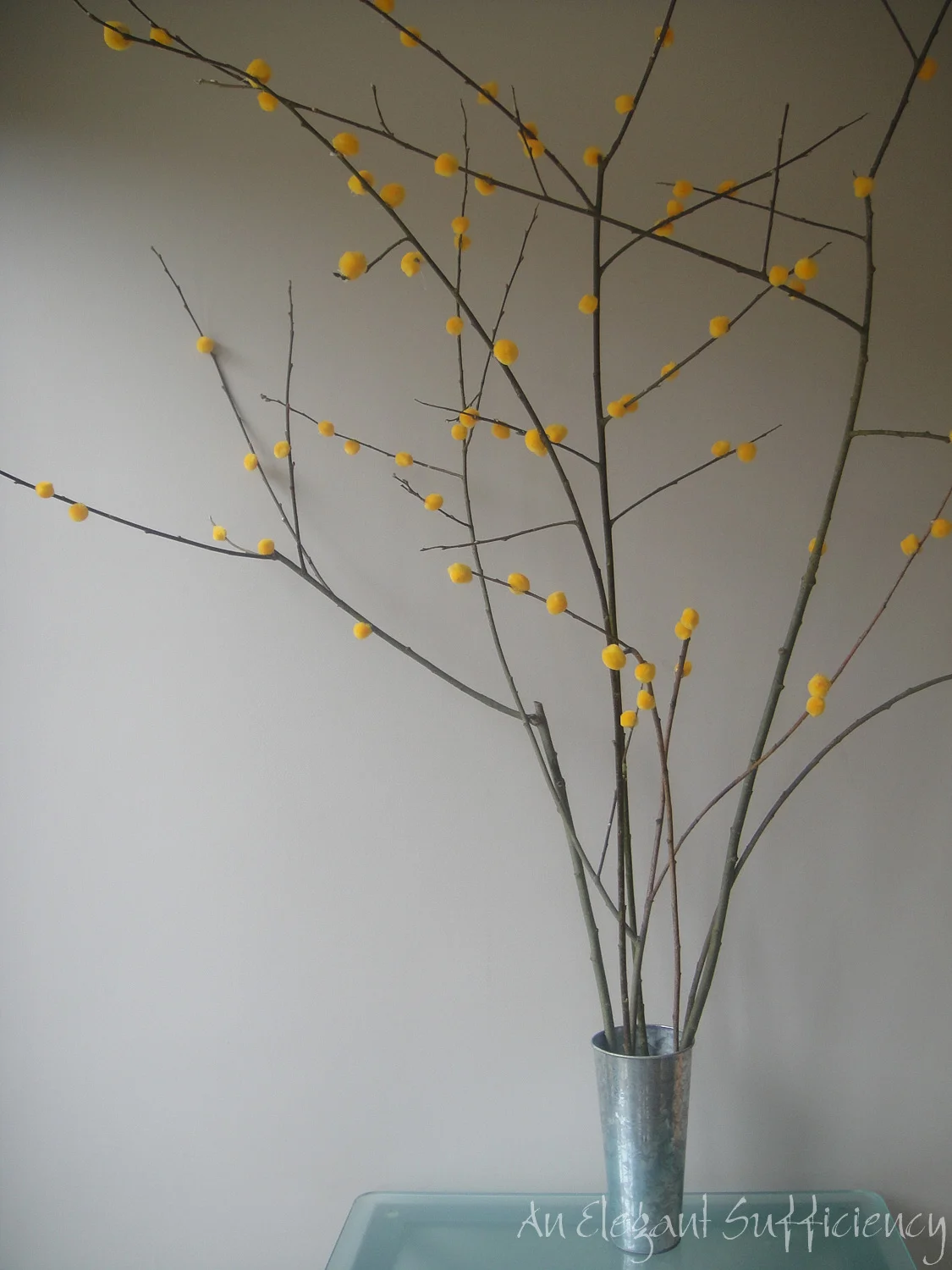 A Spring branch