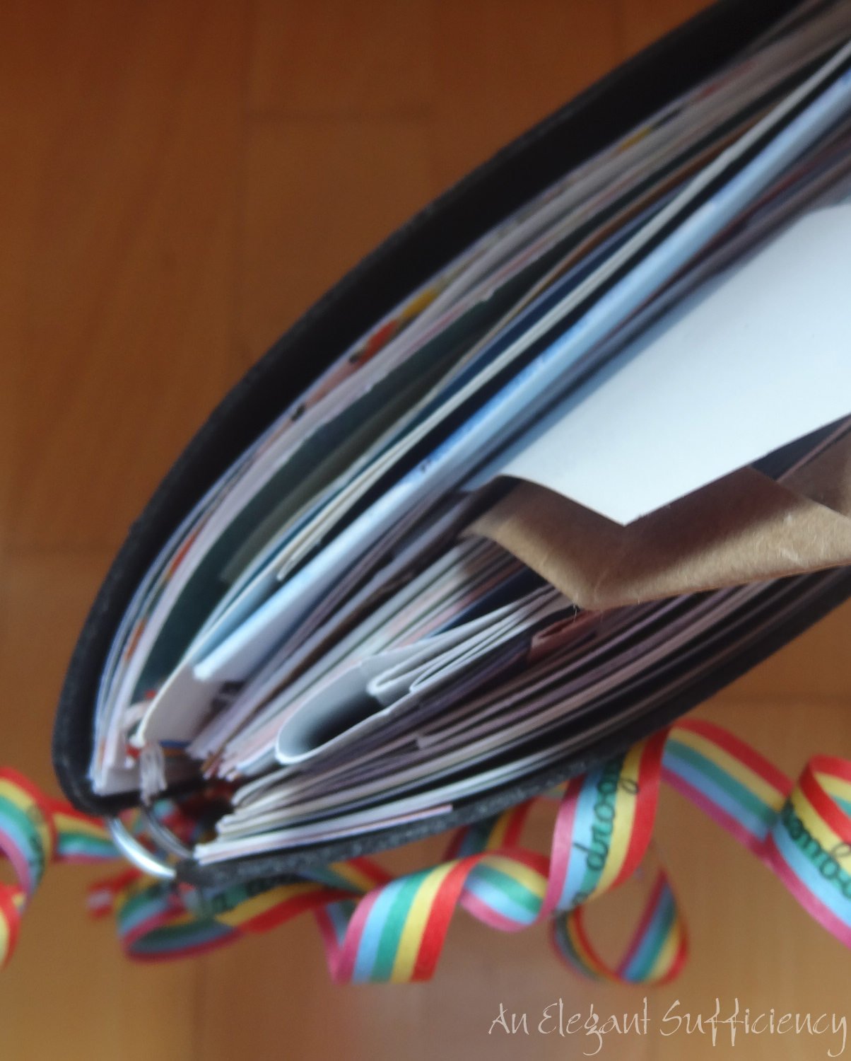 Travel Journals continued: the pros and cons