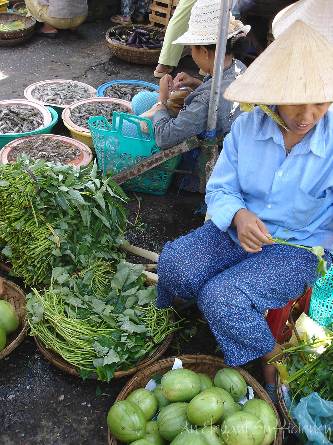 More from Hoi An