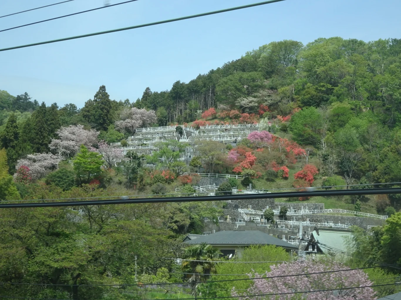 DSC07926_edited.jpeg
