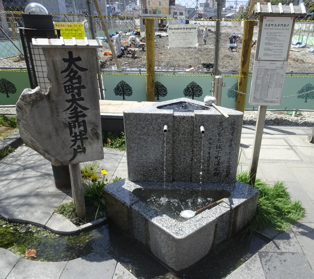 DSC07955_edited.jpeg
