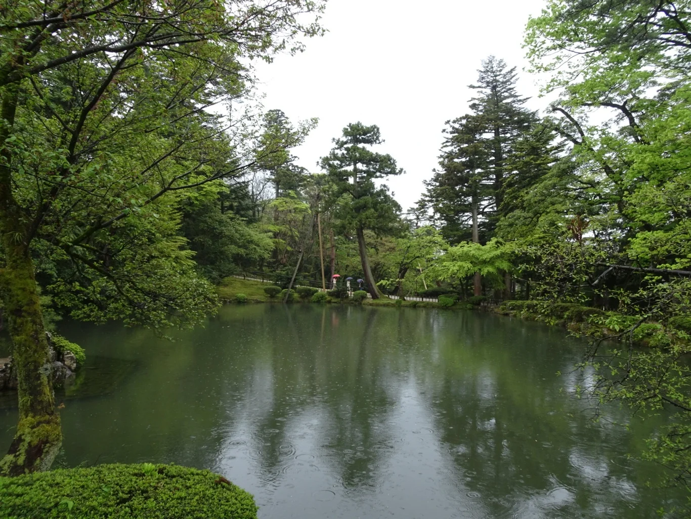 DSC08143_edited.jpeg