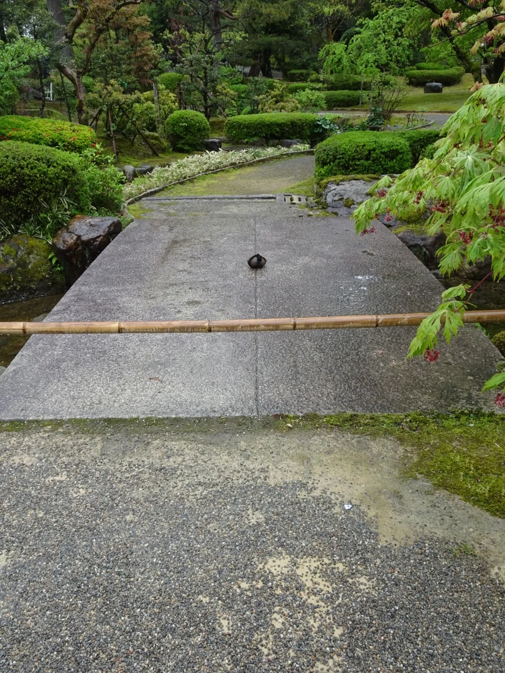 DSC08152_edited.jpeg