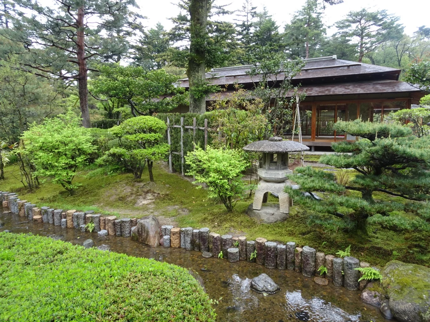 DSC08149_edited.jpeg