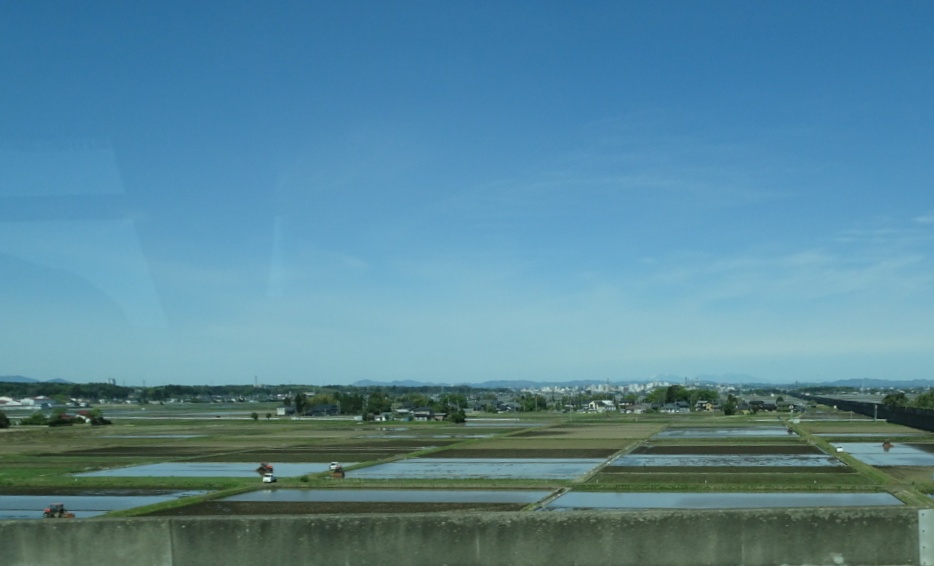 DSC08630_edited.jpeg