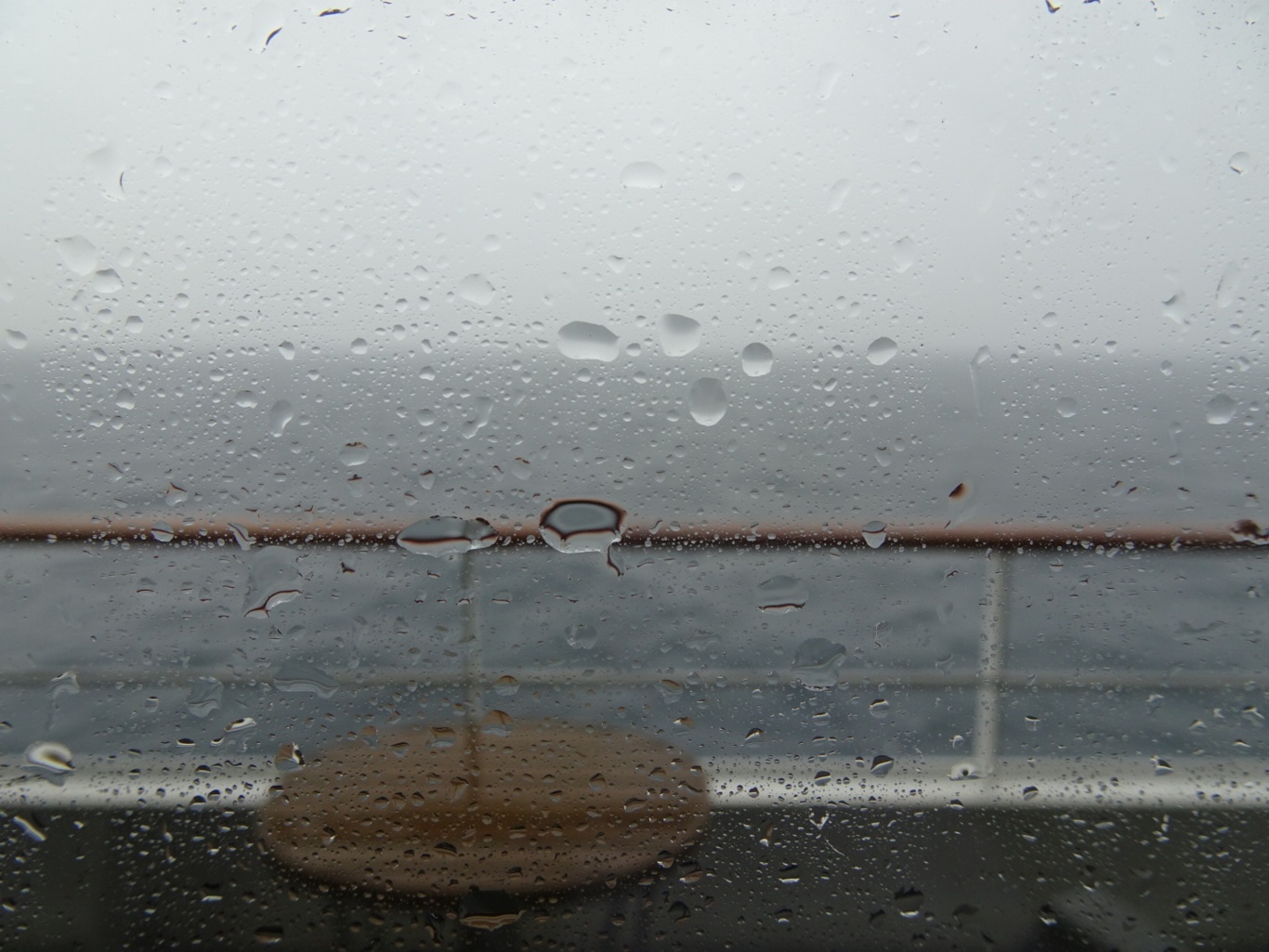 DSC08938_edited.jpeg