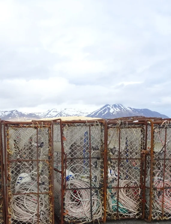 Adventure, Part Three begins