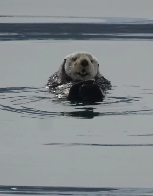 Warning: Cuteness overload!