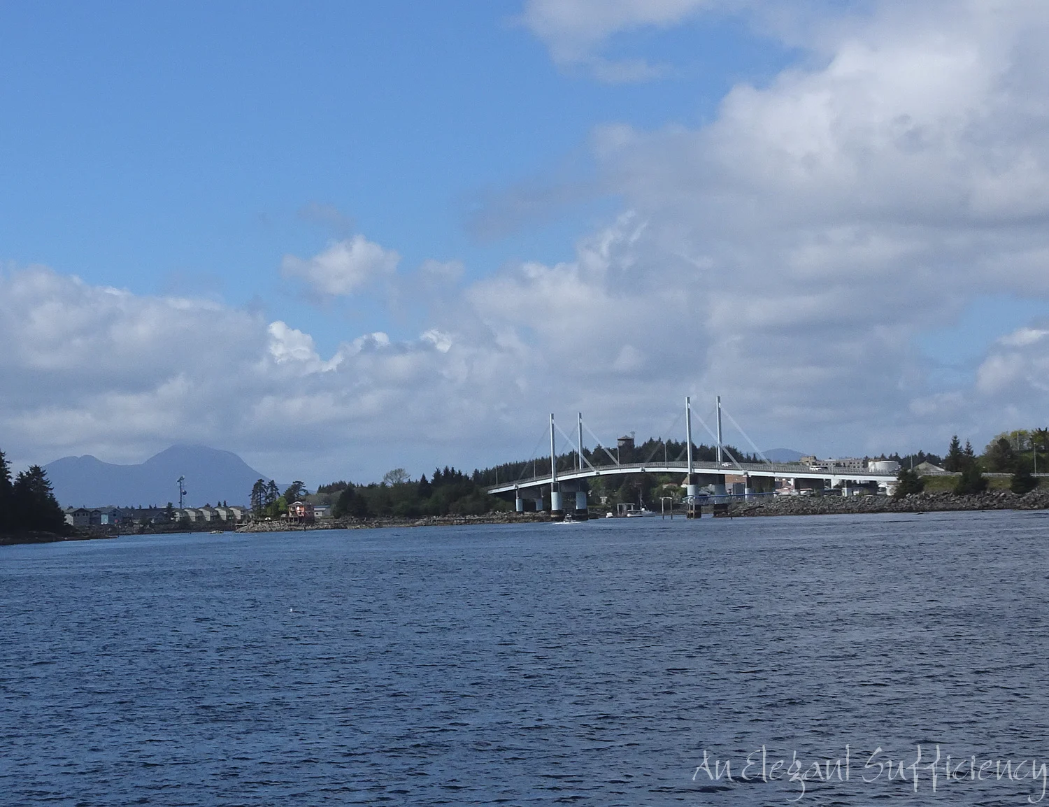 DSC00548.jpg