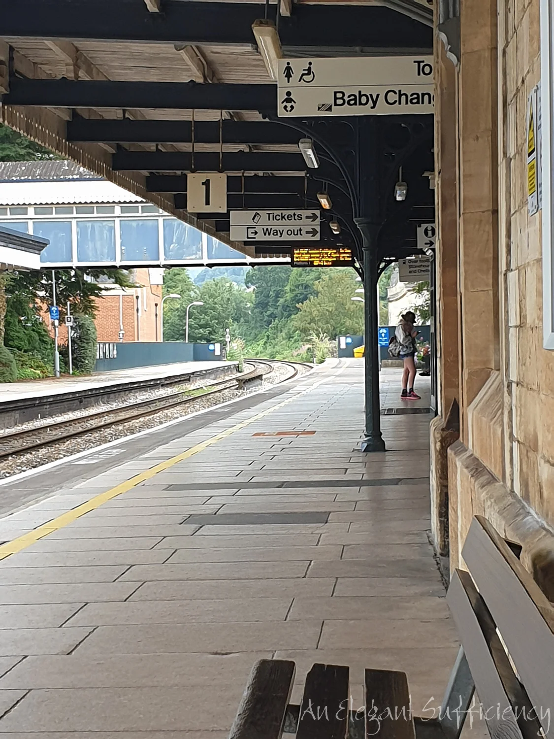 20190801_074410.jpg
