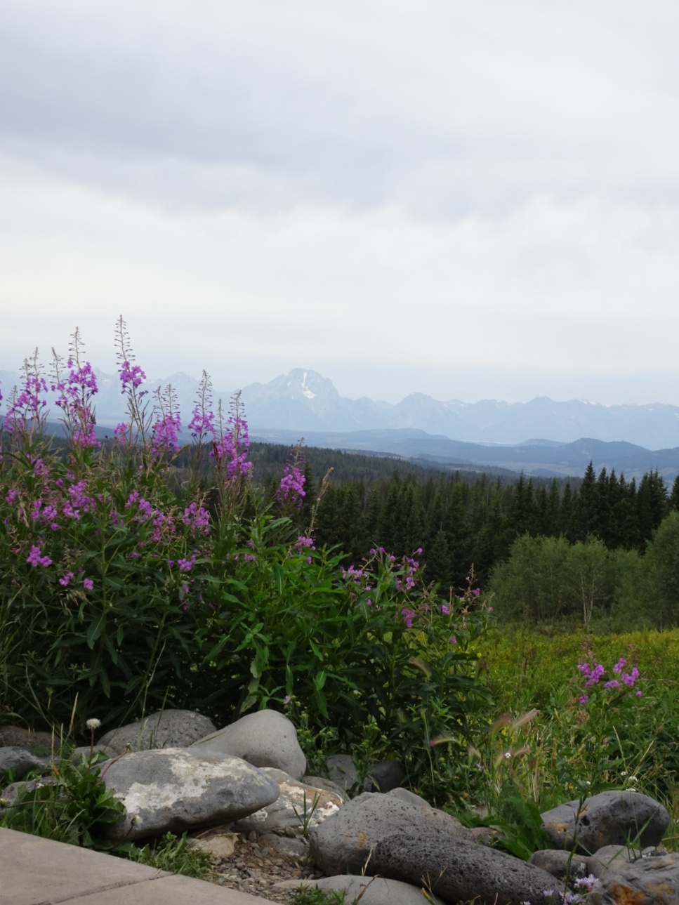 Over the Continental Divide