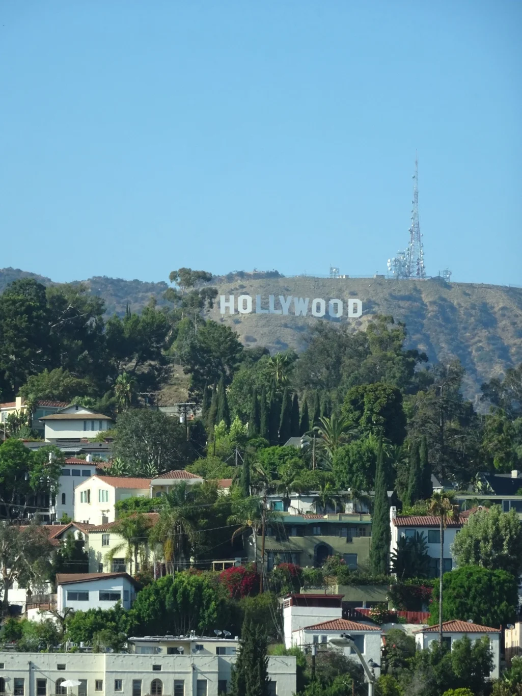 Hooray for Hollywood!