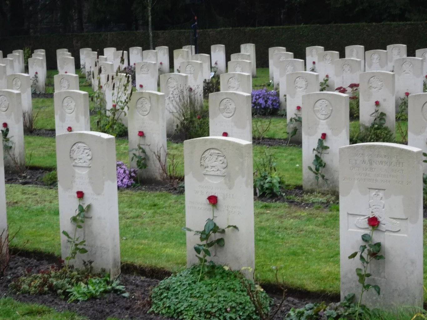 Each in our own little puddle