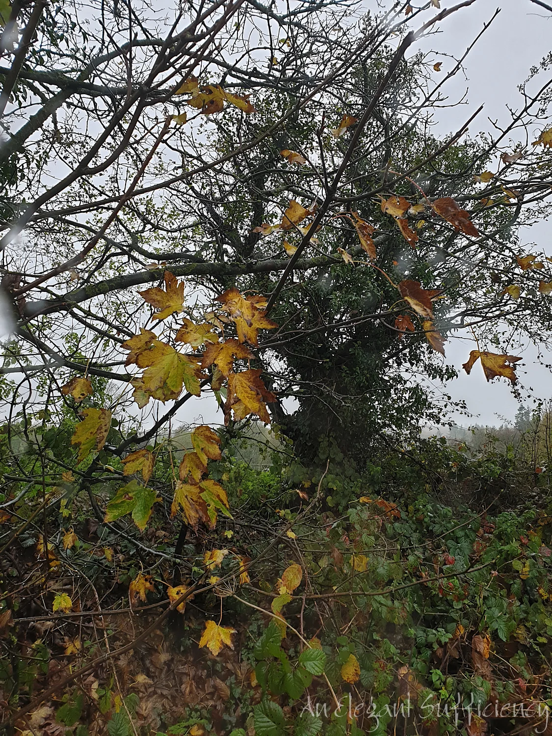 Can it really be November?