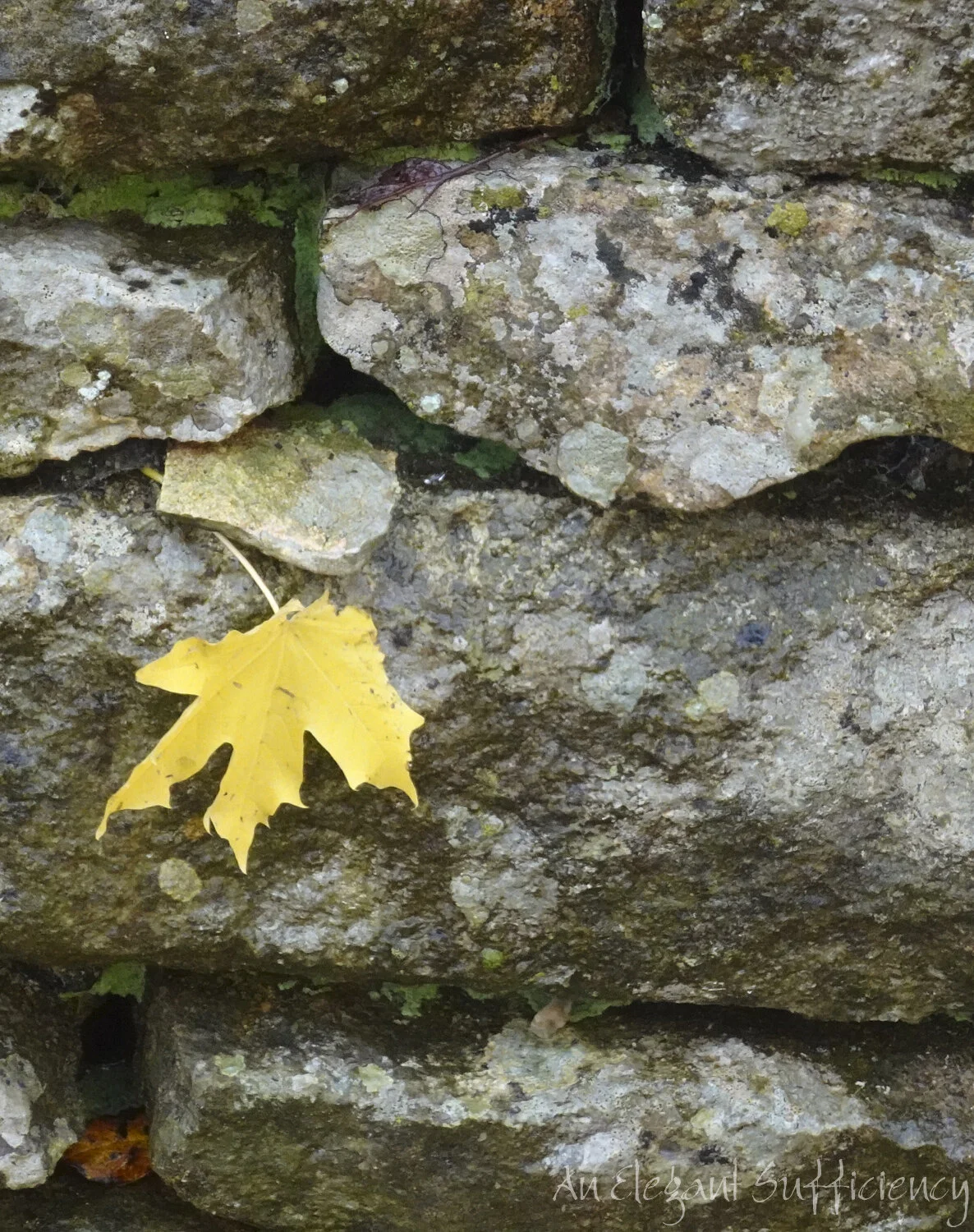 The bits and pieces of life
