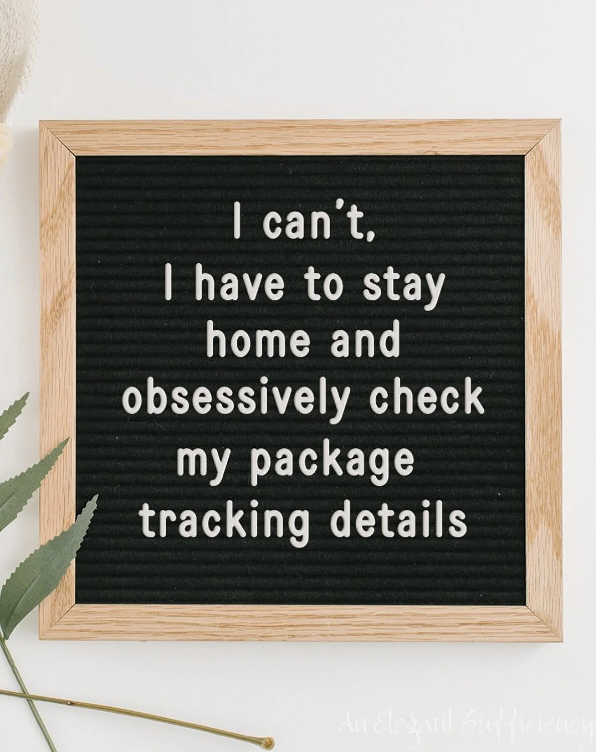 Delivery